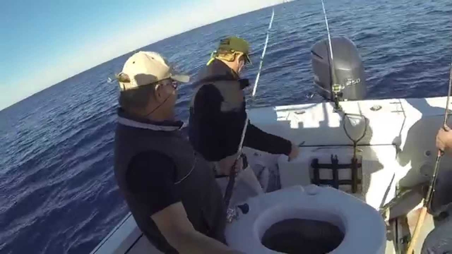 lets talk hook up radio